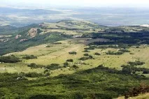 плато