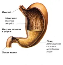 травна