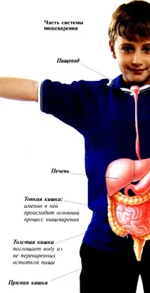 травна