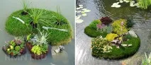 Плаваюча клумба своїми ти бачив все - У Курсі Життя плаваюча