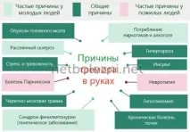 Чому виникає тремор рук у дорослих, основні причини та лікування препаратами. дорослих