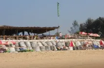 Поїсти в Гоа якщо