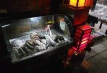 Поїсти в Гоа скрізь