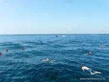Поїздка на острів Nangyuan, Острів Самуї nangyuan