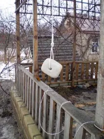 Корисно щодня додавати до корму трохи кухонної солі або класти в хлів кам’яну сіль. додавати