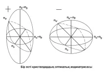 индикатриса