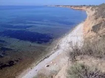 Село Окунівка Західного