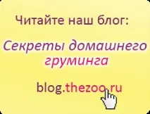 Післяопераційна попона Степка попона