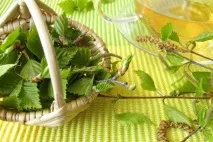 Препарати для лікування нирок різновиду та застосування препарати