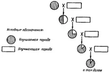 чистопородно