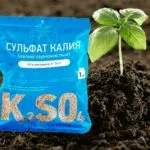 інтсрукція