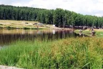 платна