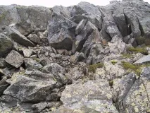 Шлях, де немає поводирів поводирів