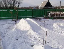 Проводимо новорічні канікули весело! зробити