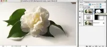 тінями