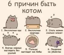 Сторінки лд Котики вони