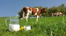 Сільське господарство Білорусі Білорусі
