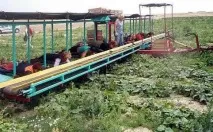 Сільське господарство Білорусі господарство