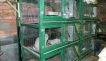 Різноманітні клітини, напувалки та годівниці своїми руками різноманітні