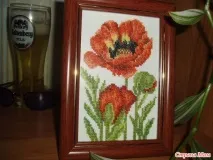 канви