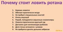 Риба Ротан риба