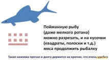 Риба Ротан можна