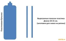 Риба Ротан ротана