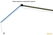 Риба Ротан можна