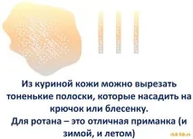 Риба Ротан можна