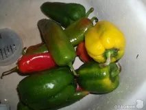 рецепт