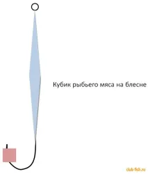 Риба Ротан ротан