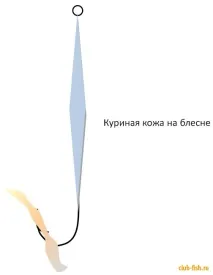 Риба Ротан можна