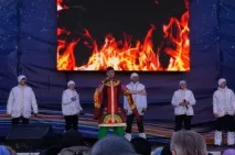 Сірий кіт компанії