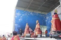 Сірий кіт компанії