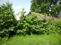 Шабалинський край, його села і села - Шабалинський край рідний його