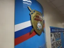 Сірий кіт компанії