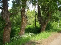 Шабалинський край, його села і села - Шабалинський край рідний шабалинський
