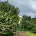 Сни з афірмацій - Містика переходів - і - Акаші, Майбутнє відносин містика