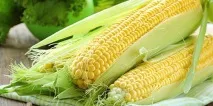 Сонник кукурудза на початку до чого сниться кукурудза на початку у сні сонник