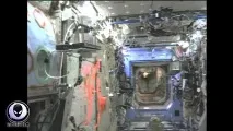Твір міркування давно помічений парадоксальний факт факт