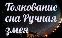 Сонник 🌛 ручна змія приснилася до чого сниться приснилася