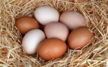 Поради щодо догляду за фарбованим волоссям волосся