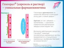 Спрей Гексорал при вагітності інструкція із застосування, 1, 2 та 3 триместр вагітності