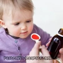 Сироп ехінацеї для дітей, інструкція із застосування - Популярне про здоров’я дітей
