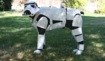 Стильний собака носить форму штурмовика зі Star Wars, ТОП ТОПІВ ІНФО штурмовика