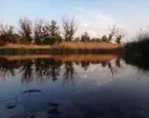 СС-2013 Частина 7 буде