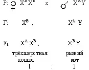 Зчеплене з підлогою успадкування, Завдання 1-10 підлогою