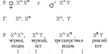 Зчеплене з підлогою успадкування, Завдання 1-10 1-10