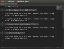 Sublime Text 2 text