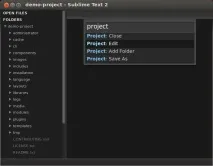 Sublime Text 2 text